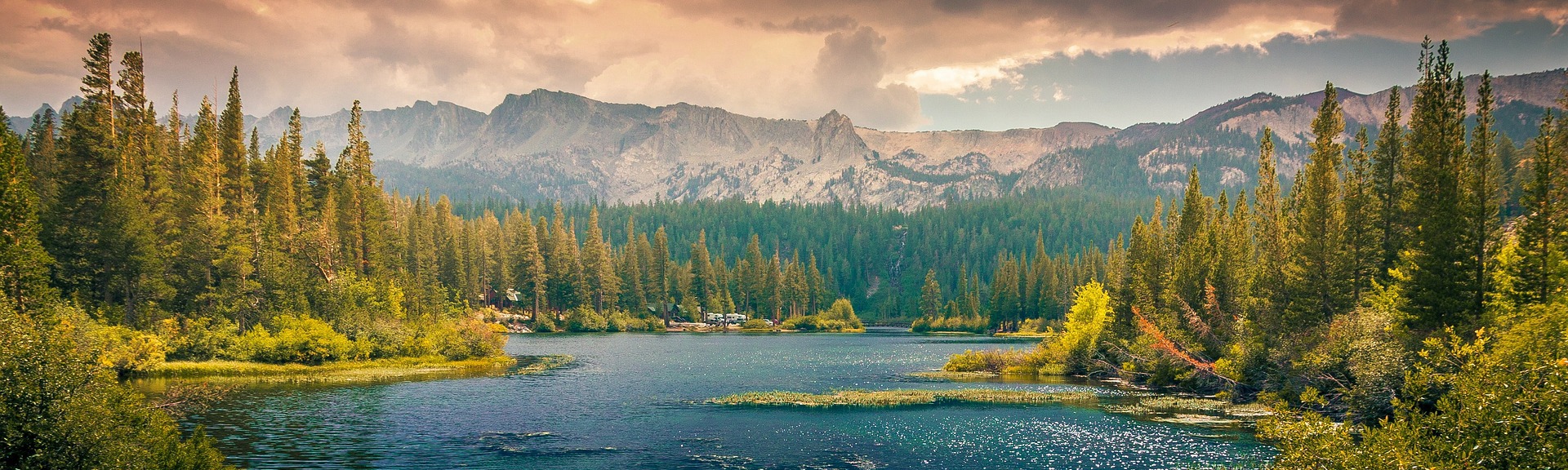 Victoria Warne-Smith